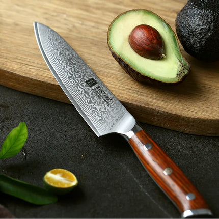 Juego de 4 cuchillos de cocina XINZUO, núcleo VG10, acero de Damasco - tugranalmacen.com