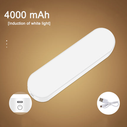 Luz nocturna LED con sensor de movimiento y control por voz