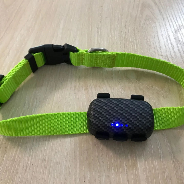 Rastreador de mascota con GPS 4G y posicionamiento preciso
